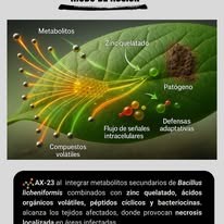 Integración de metabolitos AX-23