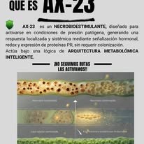 Qué es AX-23